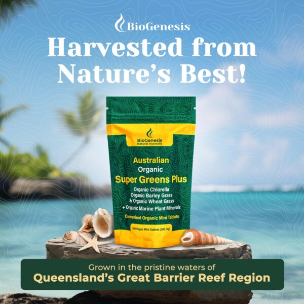 Version 1.0.0 Vista lateral paquete tabletas Biogenesis SuperGreens Plus