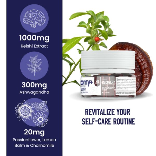 vista-superior-gomitas-troomy-recovery-naturales