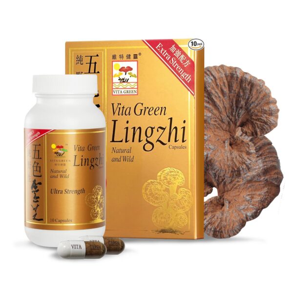 Vita Green cápsulas hongo Reishi suplemento natural antioxidantes