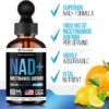 Version 1.0.0 Vita Guard NAD+ suplemento natural para vitalidad diaria