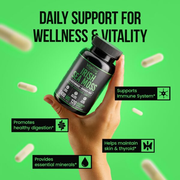 Version 1.0.0 Etiqueta de VitaRaw Sea Moss con ingredientes clave