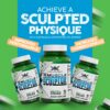 Version 1.0.0 capsulas vital alchemy the muscle sculptor suplemento muscular