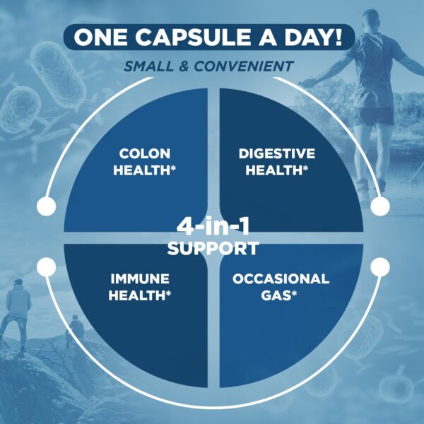 Vital Flora probiótico con prebióticos para sistema digestivo