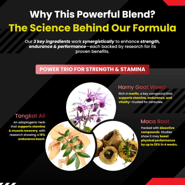 Vital Herbal cápsulas máxima potencia para fuerza y energía