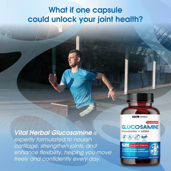 Vital Herbal Liposomal Glucosamina etiqueta trasera