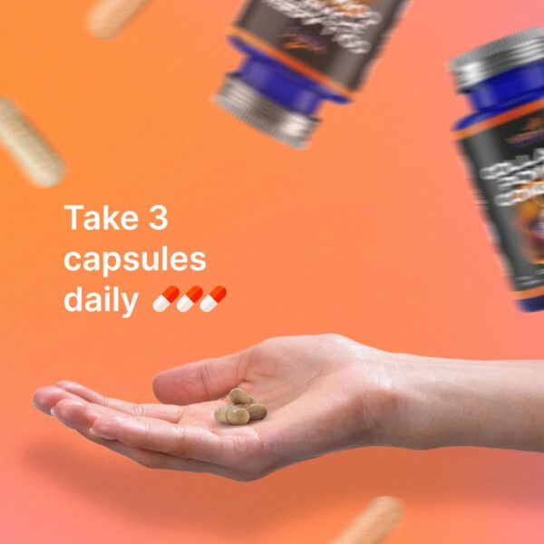 Detalle de la etiqueta con tipos de colágeno I II III V X