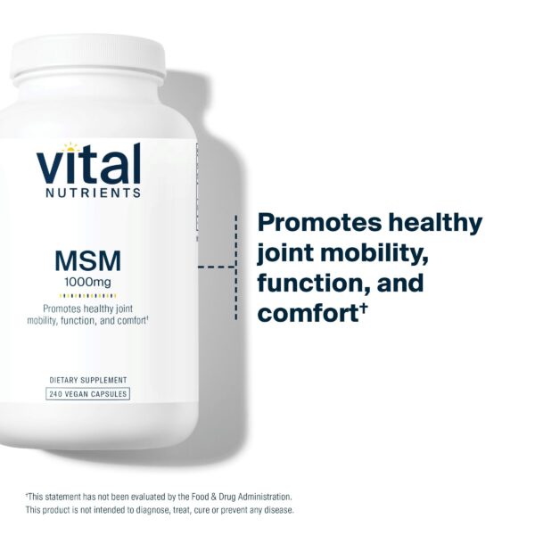 Frasco con etiqueta de MSM Vital Nutrients