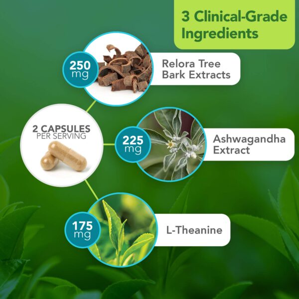 Lista de ingredientes L-Theanine Relora