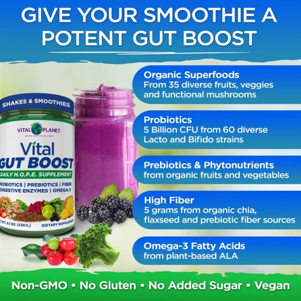 Envase del suplemento Vital Gut Boost por Vital Planet