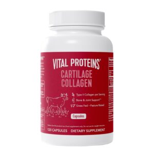 Frasco de Vital Proteins Cartílago Colágeno tipo II