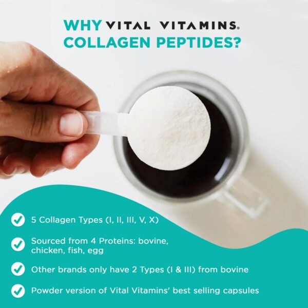 Vital Vitamins envase de polvo – vista lateral