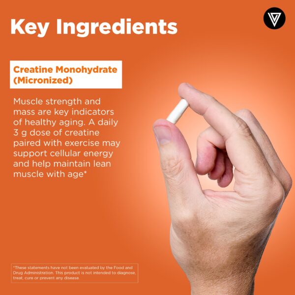 Frasco de Creatine Monohydrate