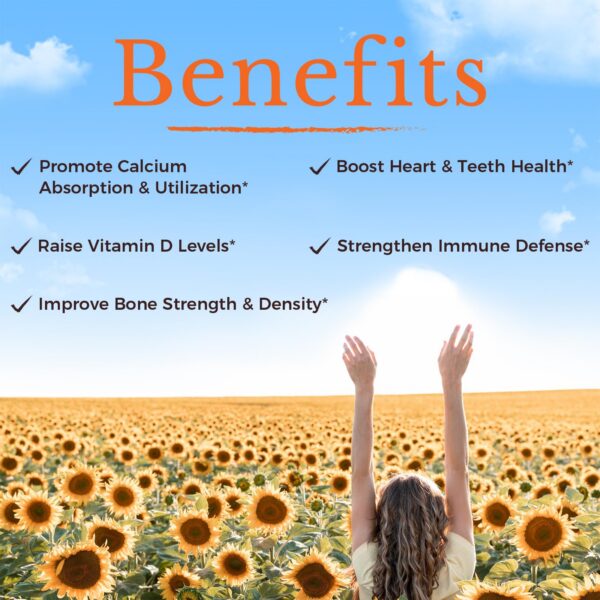 Version 1.0.0 Aceite de girasol para absorción