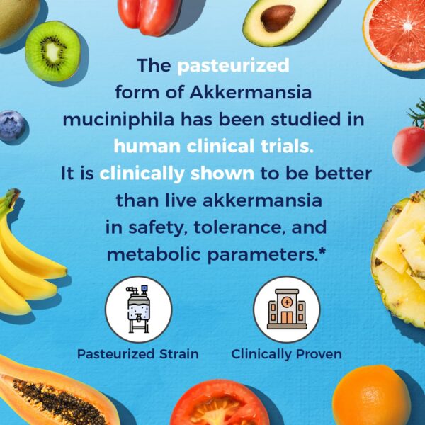 Vitalitown suplemento saludable metabolismo y digestión