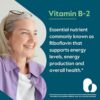 Etiqueta posterior Bestvite Vitamina B2