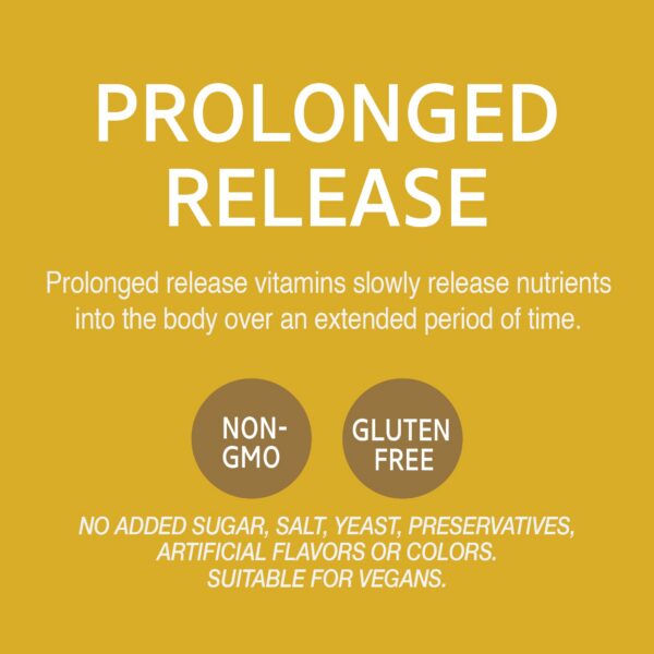 Vitamina B12 liberación prolongada paquete 2 110 tabletas