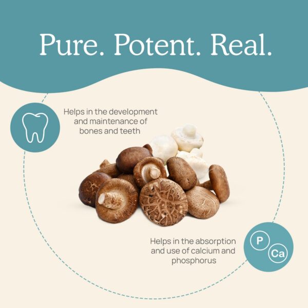 Version 1.0.0 Vitaminas D2 orgánicas veganas con complejo de hongos shiitake