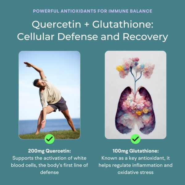 VitaminIQ combinación de zinc vitamina d y extracto de saúco para salud inmune