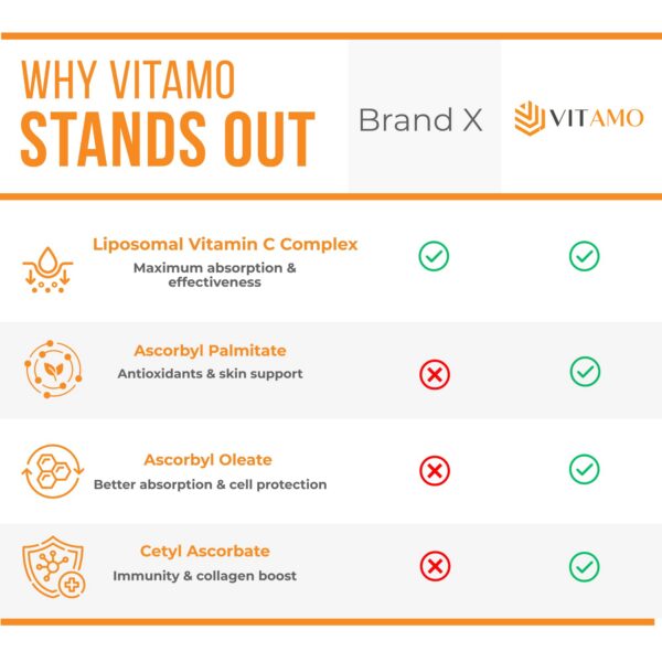 Version 1.0.0 Detalle de cápsulas liposomales