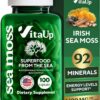 Frente de la botella VitaUp Sea Moss irlandés en cápsulas