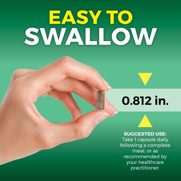 Frasco Viva Naturals Pycnogenol con tapa