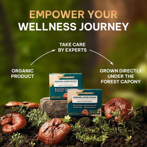 Version 1.0.0 Botella cápsulas reishi VOS GANOLUCIDUM