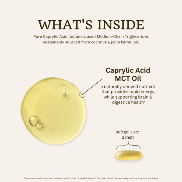 Version 1.0.0 Etiqueta de producto y ingredientes