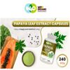 Cápsulas WAY 4 Organic W4O Papaya