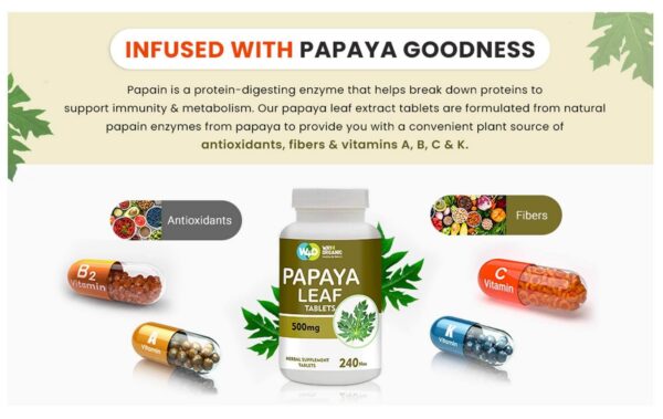 Etiqueta de ingredientes WAY 4 Organic W4O Papaya hojas