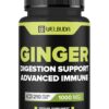 WELBUDA cápsulas de suplemento jengibre 1000 mg 210 píldoras