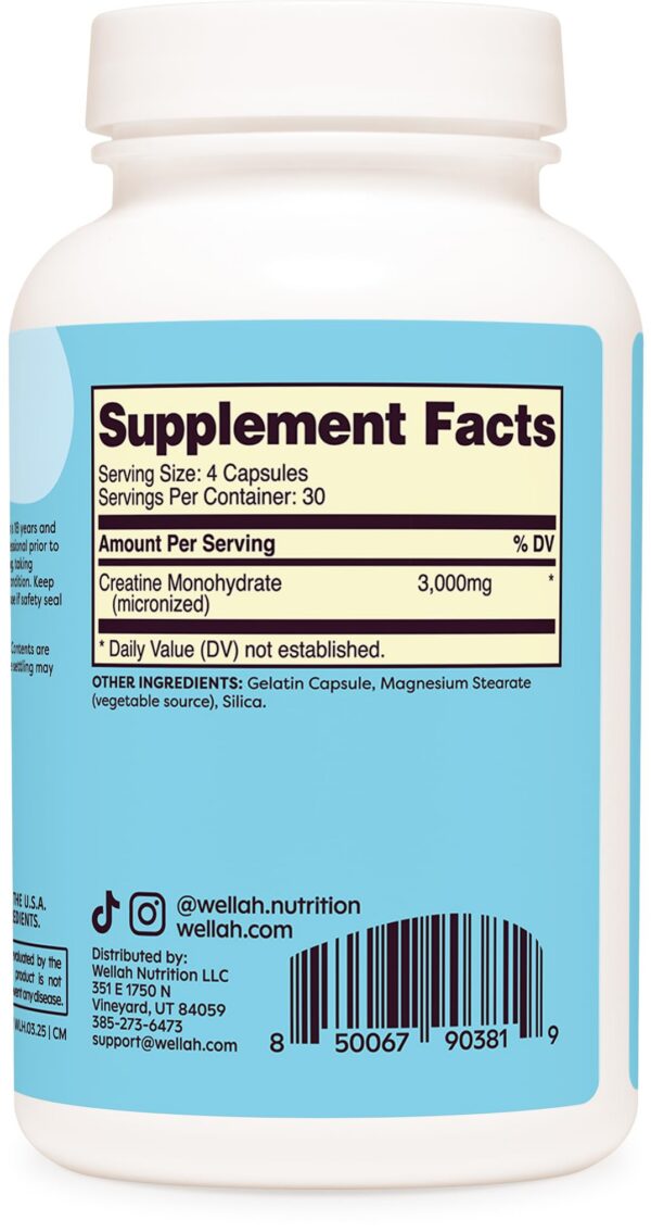 Frasco Wellah Creatine Monohydrate