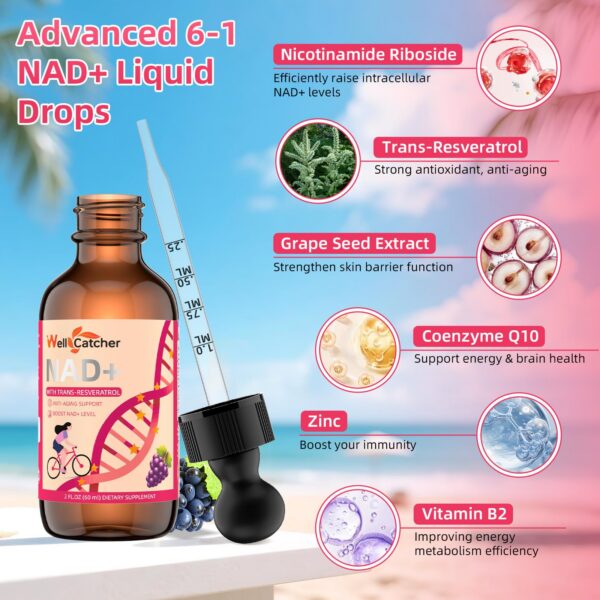 Version 1.0.0 NAD+ sabor uva Wellcatcher