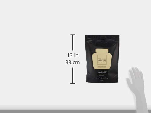 Version 1.0.0 Bolsa de 35.2 oz de proteína vegana WelleCo