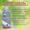 Etiqueta de Sea Essentials Coral Calcium Wellgenix