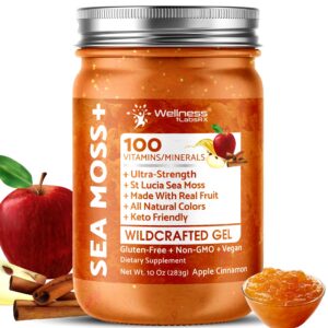 Botella Sea Moss Gel irlandés WELLNESS LABSRX 10 oz