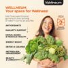Etiqueta del producto Wellneum con mezcla de frutas