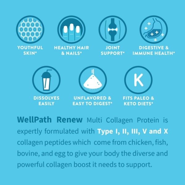 Version 1.0.0 WellPath Renew polvo de colágeno tipos I, II, III, V, X