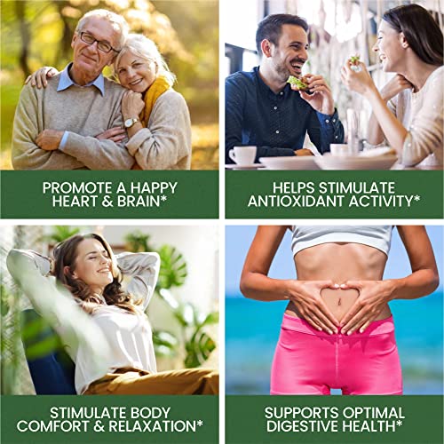 Version 1.0.0 Etiqueta canela Whole Nature