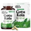 Botella de cápsulas Wild & Organic Gotu Kola para apoyo cerebral