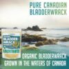 Etiqueta del producto bladderwrack orgánico