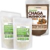 Paquete de Cápsulas 00 y Polvo de Chaga XPRS Nutra