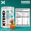 Version 1.0.0 Etiqueta del producto Xtend Scivation EAA + BCAA