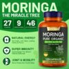 Cápsulas moringa en blíster