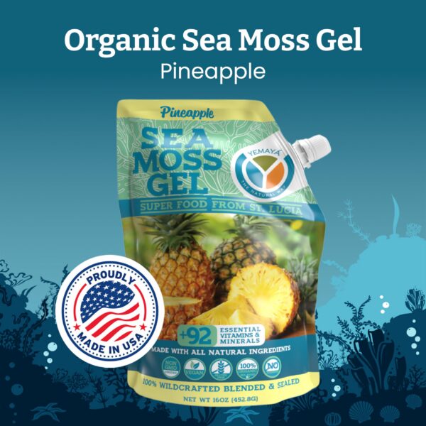 Version 1.0.0 Etiqueta del gel de musgo mar Yemayá