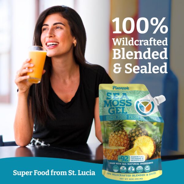 Version 1.0.0 Gel de musgo mar orgánico crudo con fruta