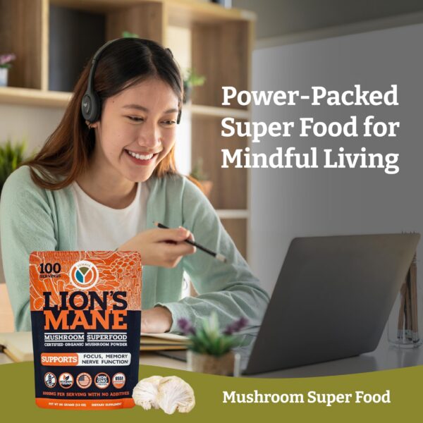 Version 1.0.0 Envase translúcido con polvo de melena de león orgánica