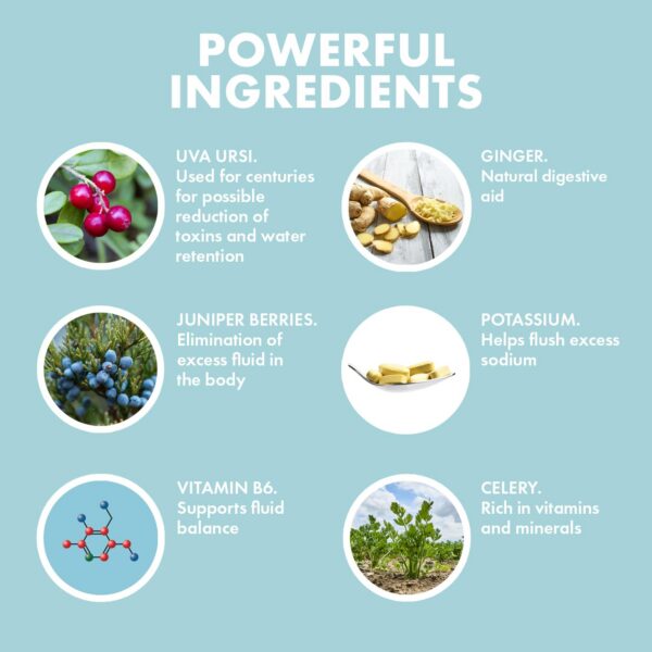 Version 1.0.0 Ingredientes naturales cápsulas Yes You Can! diuréticas