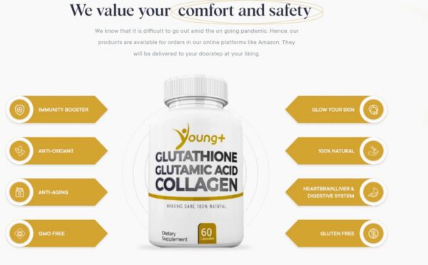 Version 1.0.0 Caja de Young Plus