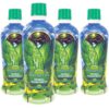 Version 1.0.0 Frasco de Youngevity Majestic Earth Herbal Rainforest 32oz