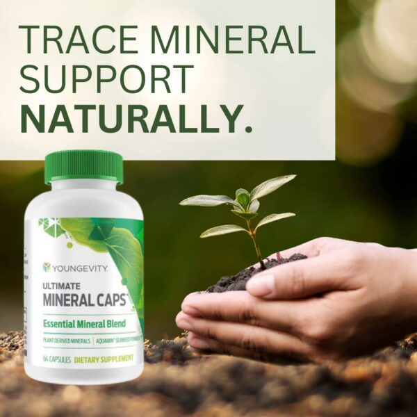 Cápsulas sobre fondo neutro